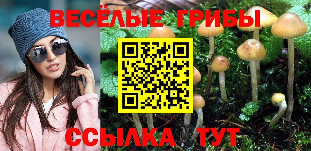Галлюциногенные грибы Cubensis Гусиноозёрск