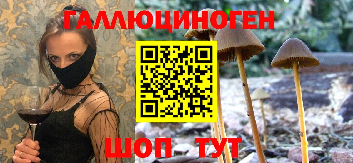 Галлюциногенные грибы ЛСД  Галлюциногенные грибы Psilocybine cubensis  Вход с VPN  Гусиноозёрск 