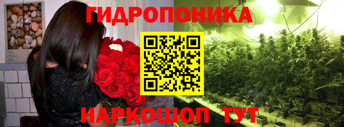Конопля Ganja  Вход с VPN  Шишки марихуана марихуана  Каннабис индика  Гусиноозёрск 
